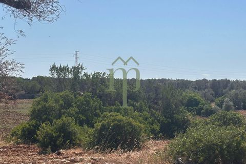 Ruinere i Carovigno, Brindisi, Carovigno - € 385.000 | Ref: Proprietà Pinea - foto 15